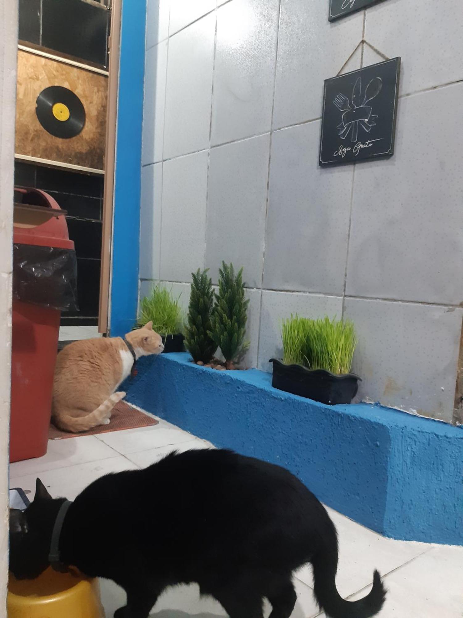 Hostel Sapucali Rio de Janeiro Exterior foto